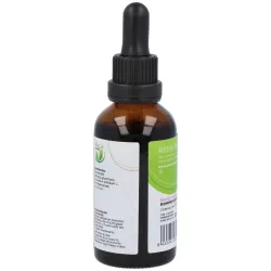 Plantis extracto lepidium latifolium rompepiedras 50 ml | Farmacia Barata