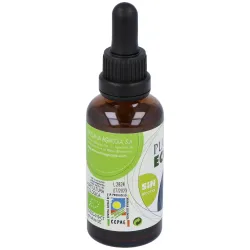Plantis extracto propolis 50ml | Farmacia Barata