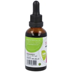 Plantis extracto lepidium latifolium rompepiedras 50 ml | Farmacia Barata