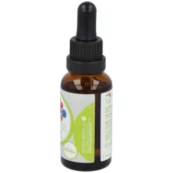 Vitamina b12 liquida 30ml. | Farmacia Barata