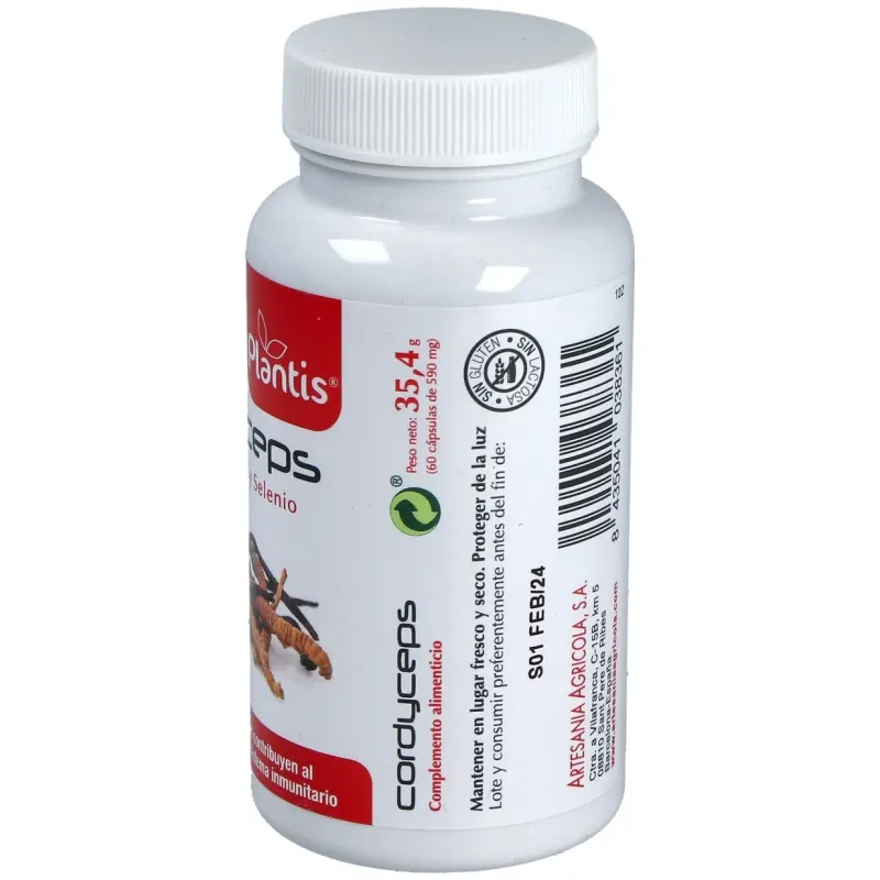Cordyceps plantis 60cap. | Farmacia Barata