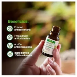 Aceite esencial arbol del te soria natural 15ml | Farmacia Barata Aceite esencial arbol del te soria natural 15ml | Farmacia Barata