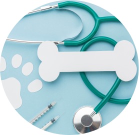 Material veterinario 