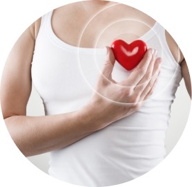 Sistema Cardiovascular
