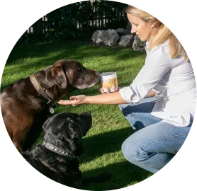 Suplementos Renales para Mascotas