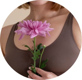 Menopausia