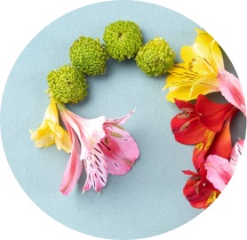 Flora Vaginal
