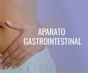 Aparato Gastrointestinal