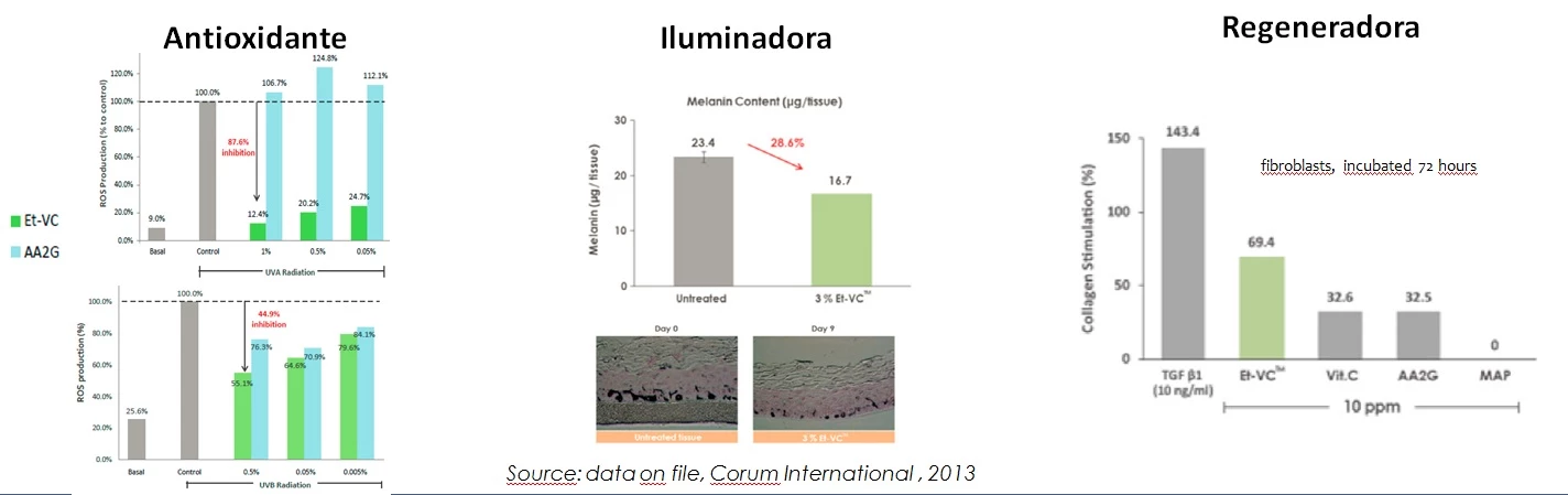 endocare acción vitamina c