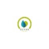 Olyan