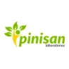 Pinisan