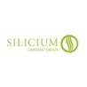 Silicium